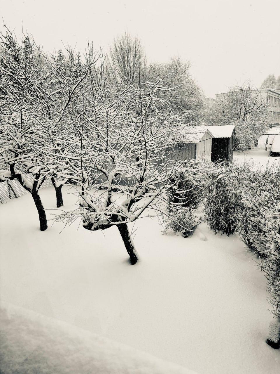 Сильні снігопади у Польщі спричинили затори довжиною 20 км