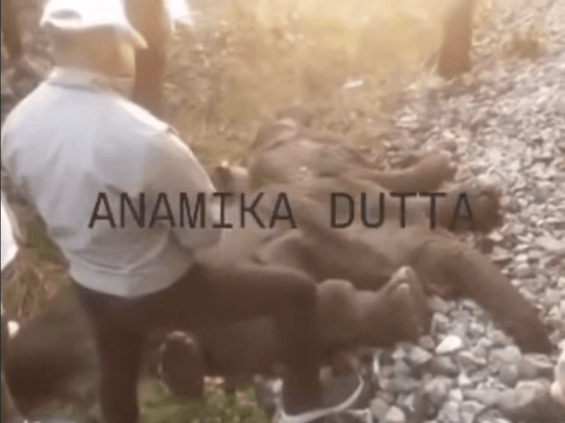 В Індії пасажирський потяг зійшов з рейок після зіткнення зі стадом слонів