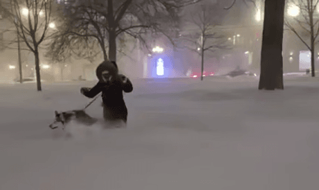 США накрила потужна снігова буря