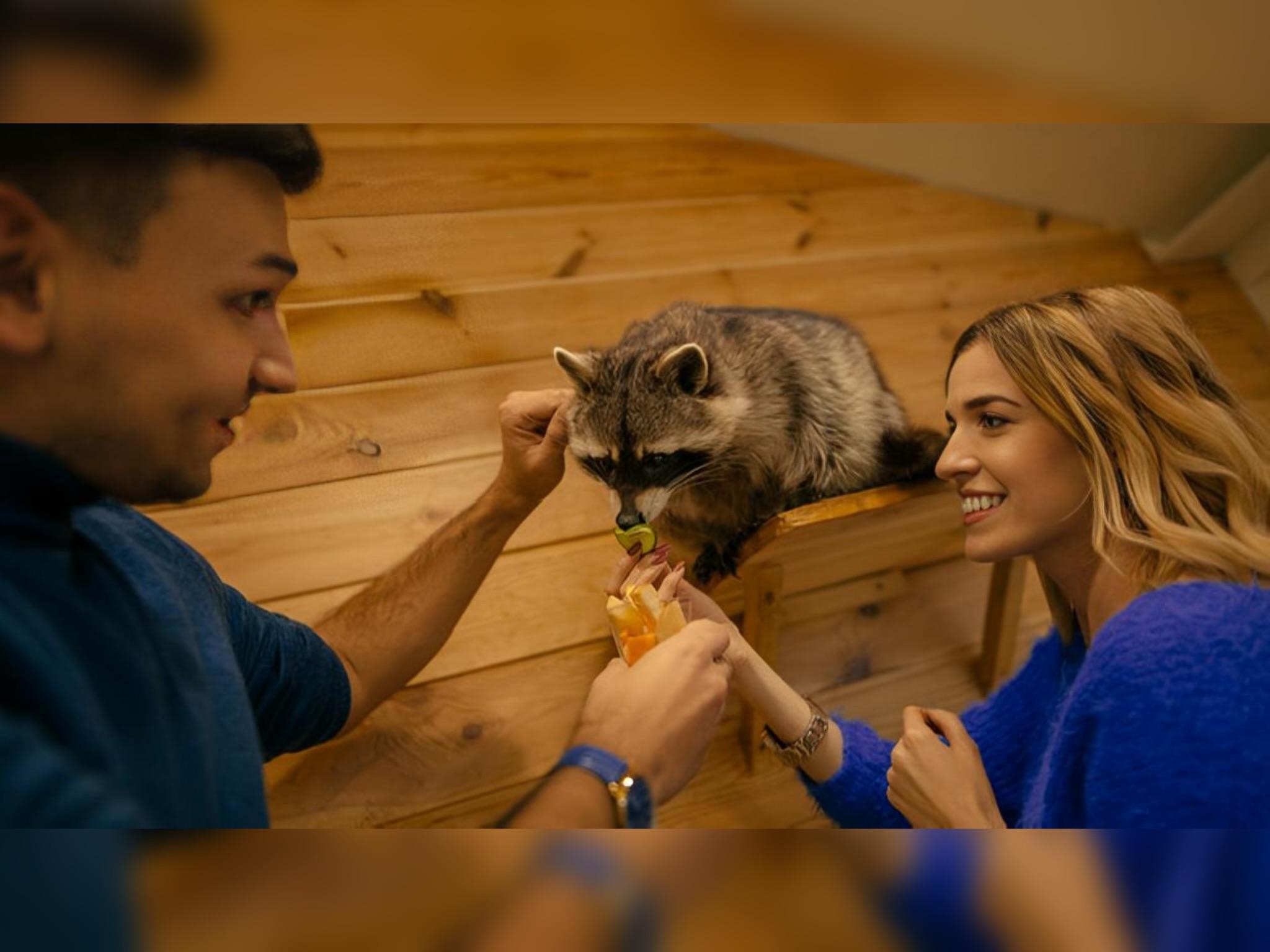 Безліч емоцій від живого спілкування з привітними екзотичними пухнастиками – контактний зоопарк “Лемур”