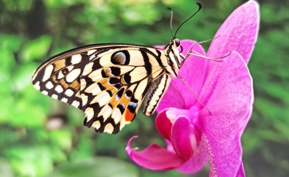 Де шукати 3 локації в Києві, щоб зустріти весну