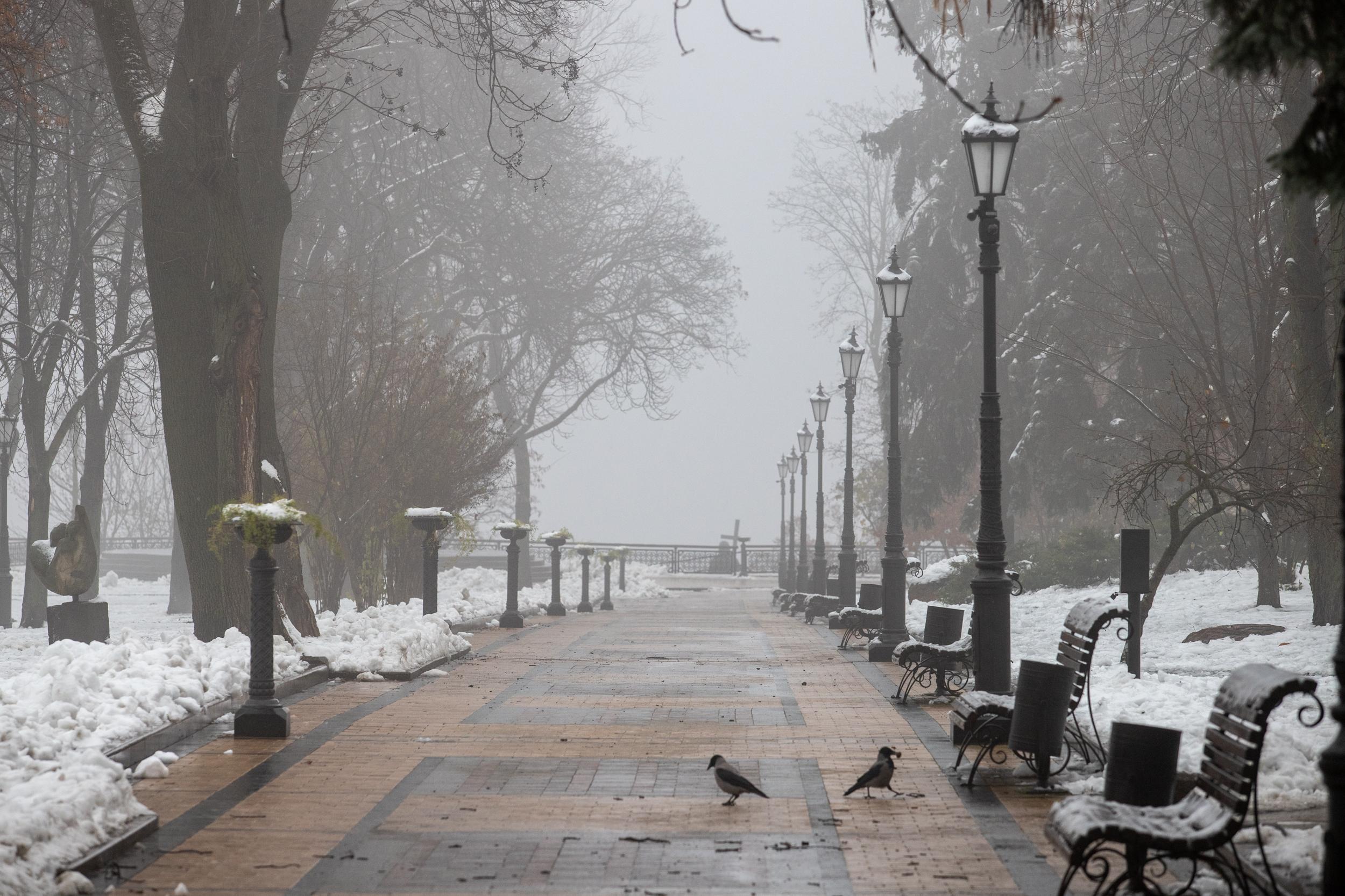 13 лютого: у Києві без опадів, але туман і слизькі дороги