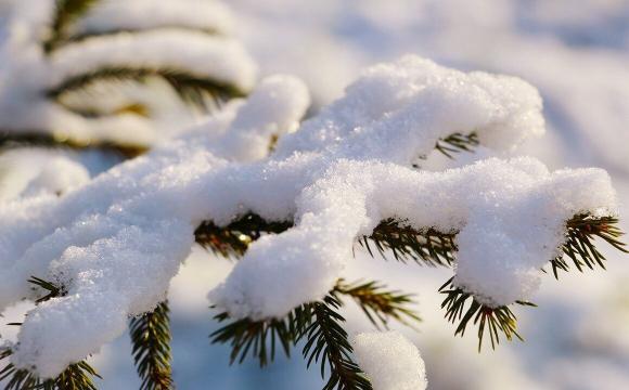 Погода на 7 лютого: Київ і область