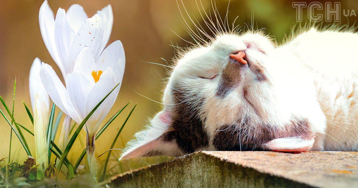 Українці в усіх регіонах дочекалися на тиждень сонячної та теплої погоди