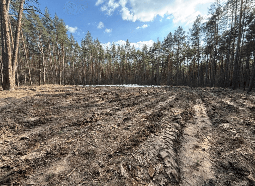 У Києві відновлюють ліс, який постраждав внаслідок ворожого удару
