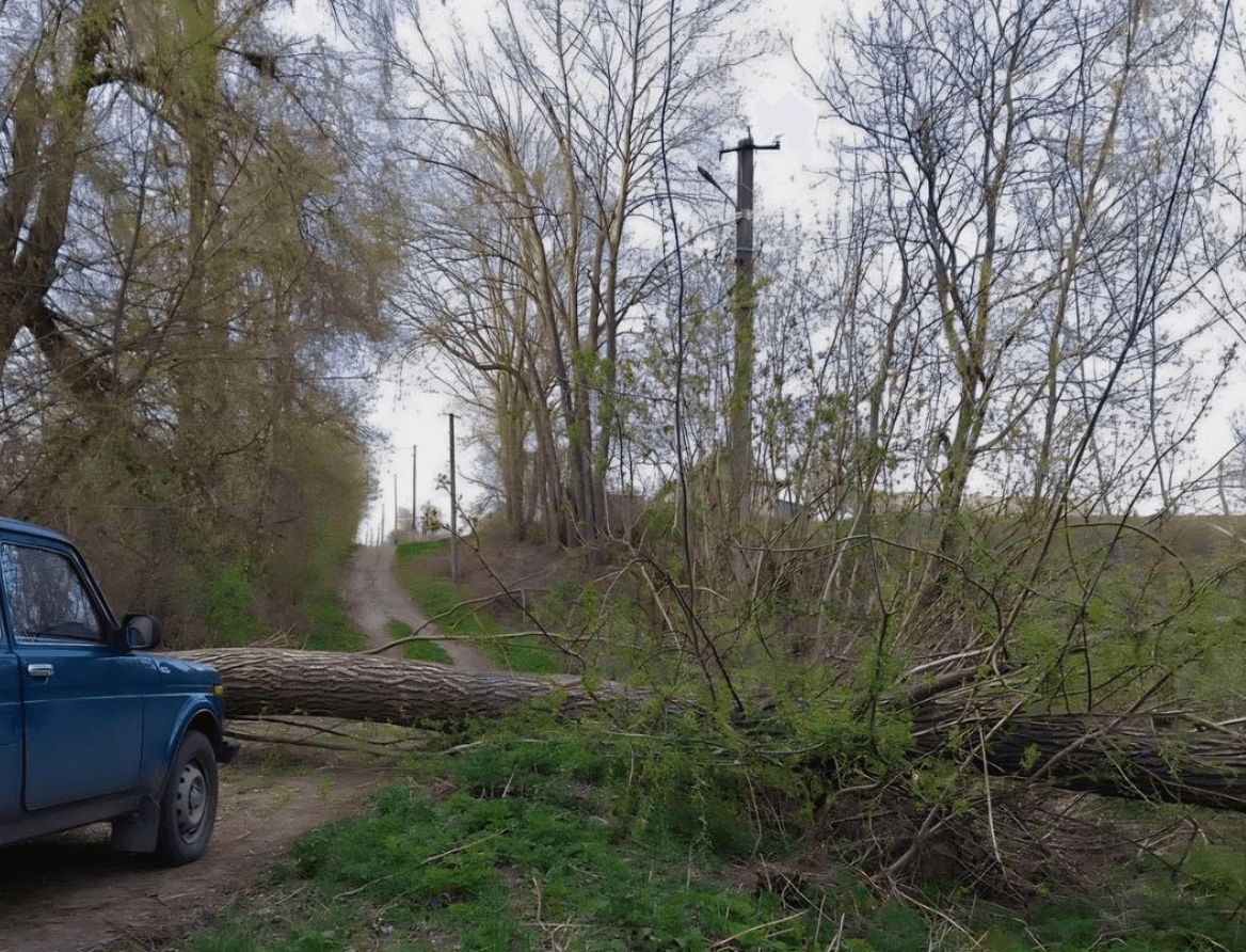 На Київщині майже 60 тисяч домівок залишились без світла через негоду