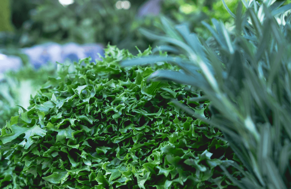 У п’яти районах столиці проходять продовольчі ярмарки: де саме