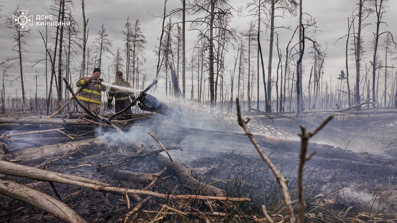У Чорнобильській зоні відчуження після обстрілу знову горить ліс