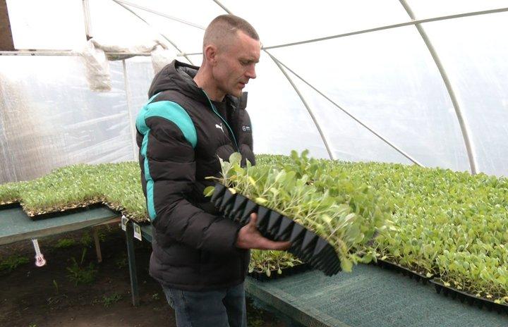 Ветеран з Хмельниччини після 3 років полону створив тепличне господарство