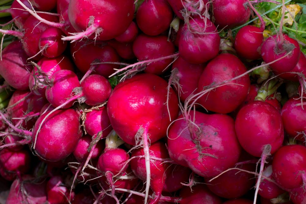 Де у Києві у вихідні відбудуться продуктові ярмарки: локації