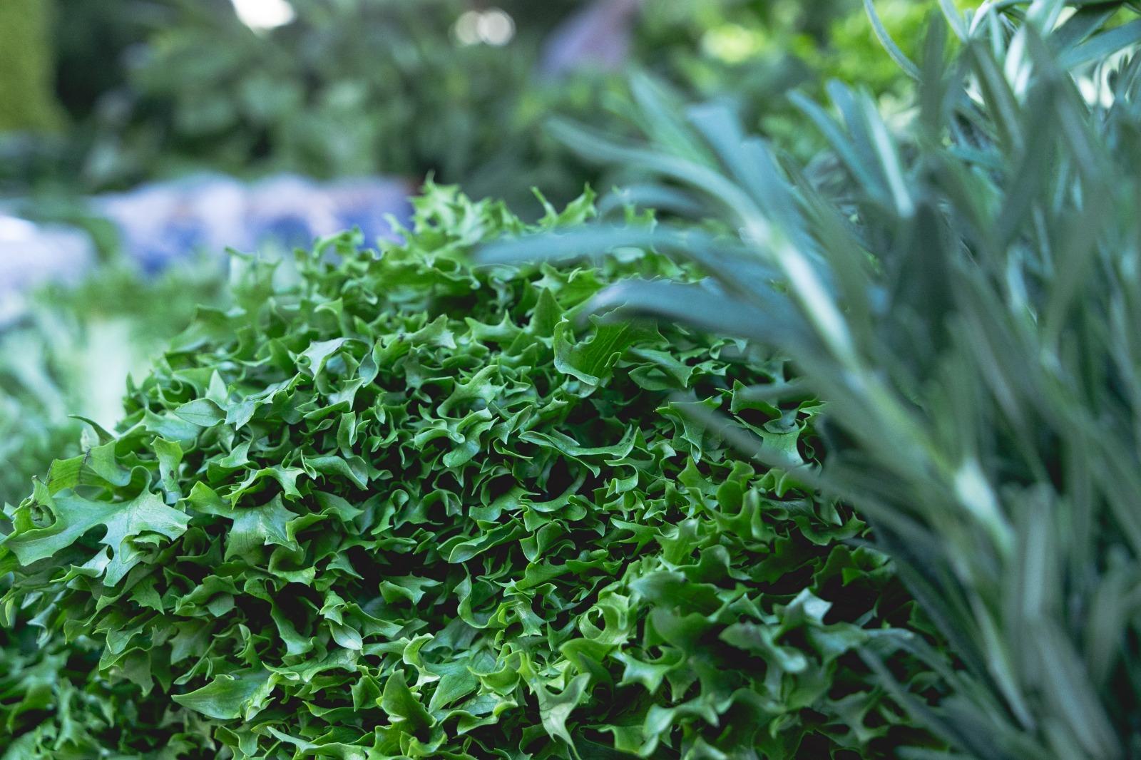 Де у Києві цього тижня можна купити фермерські продукти: локації