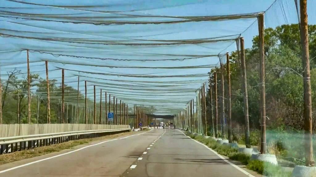 На Волині біля кордону з Білоруссю встановлюють антидронові сітки вздовж доріг