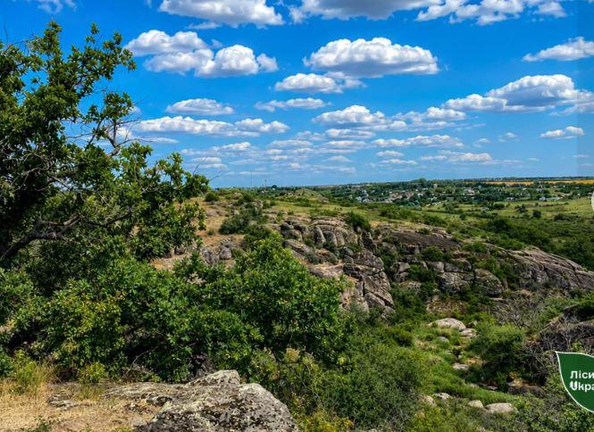 Уперше на півдні України з’явиться велосипедний маршрут Трикратським лісом