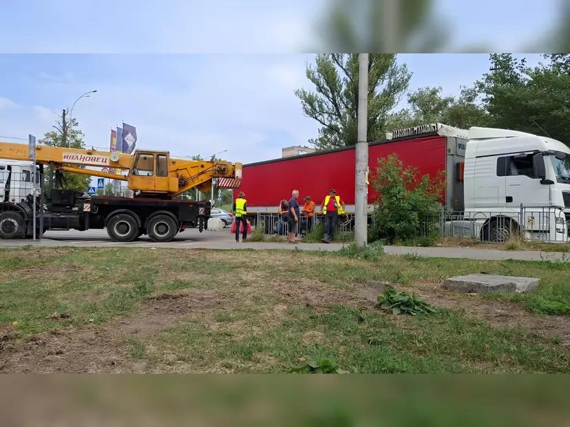 У КМДА спростували інформацію про нову вирубку дерев під будівництво резервної теплотраси на Теремках