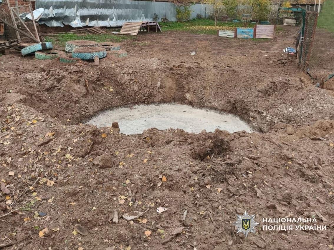 Росіяни атакували притулок для тварин у Чернігові, постраждали люди і тварини