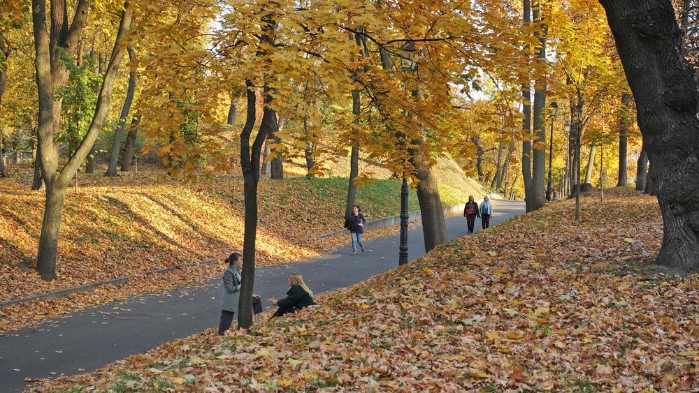 Температура повітря у Києві продовжує знижуватись