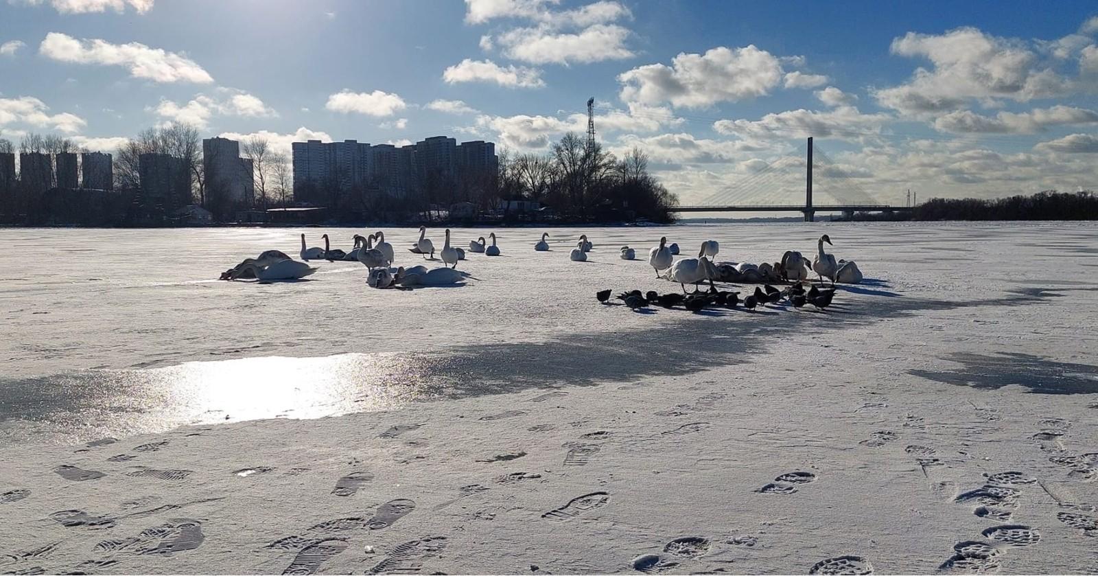 3 лютого 12:00